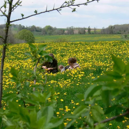 Mouly, Hemeltje Op Aarde
